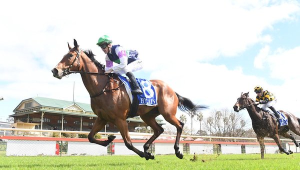 Over The Bridge dazzles on debut at Bendigo