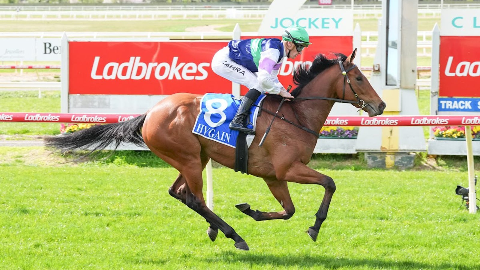 Over The Bridge dazzles on debut at Bendigo